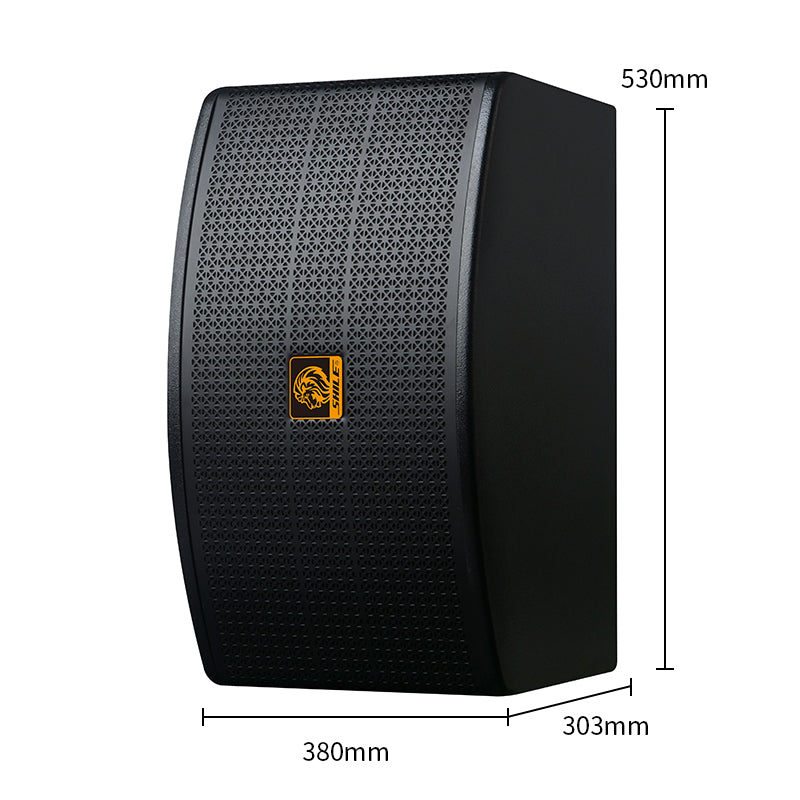 SHILE KTV-04 Karaoke Speaker Pair – 110W Clear & Powerful Performance