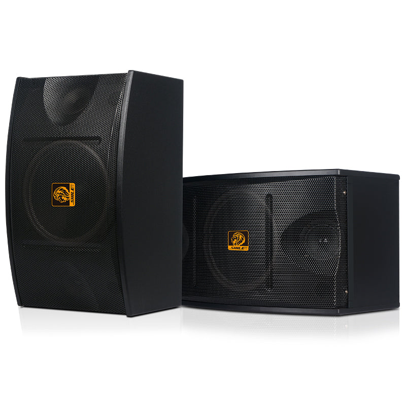 SHILE BX-103 Professional KTV Speaker Pair – 10” 120W High-Power Audio