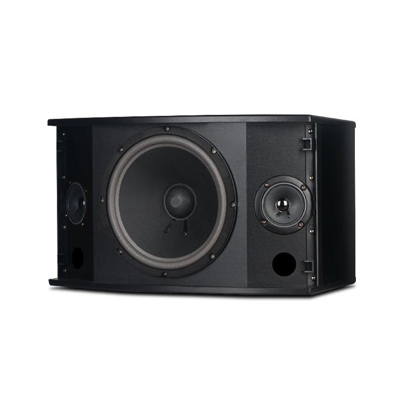 SHILE BX-103 Professional KTV Speaker Pair – 10” 120W High-Power Audio