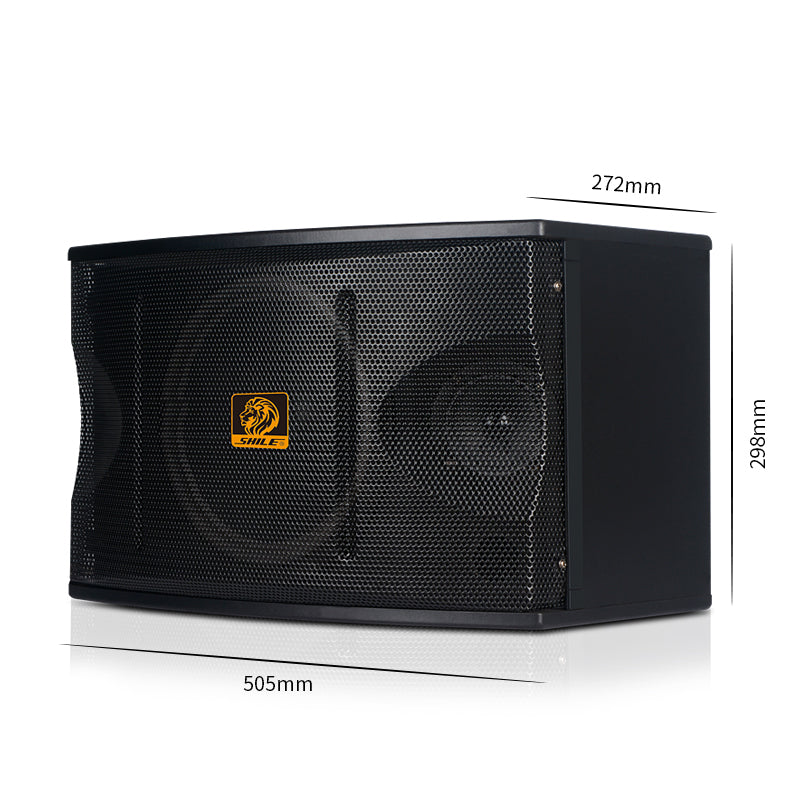 SHILE BX-103 Professional KTV Speaker Pair – 10” 120W High-Power Audio
