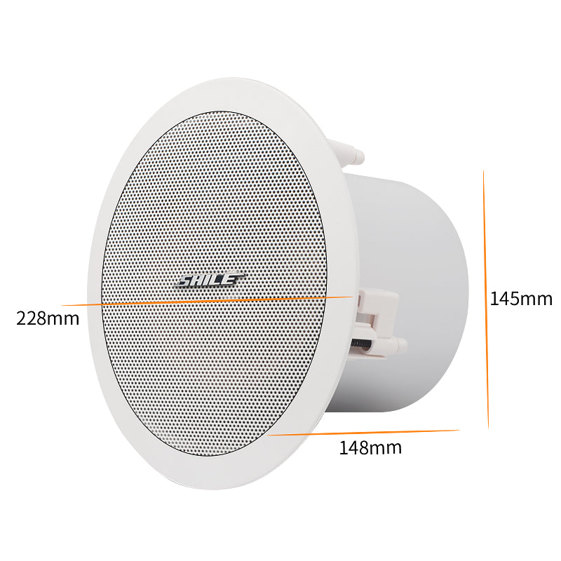 SHILE BX-206 6.5” Ceiling Speaker – 30W Full-Range Premium Audio
