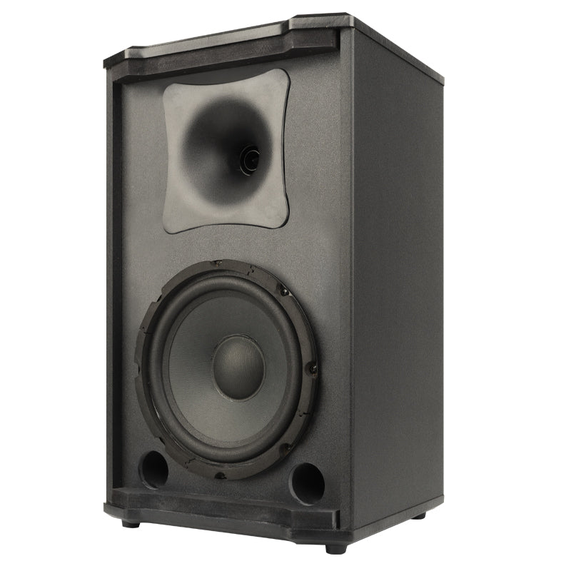 SHILE BX-109 Conference Speaker Pair – 8” 80W Professional Audio
